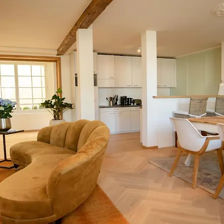公寓 Familienwohnung Im Herzen Von Mit Pool Und Sauna 伯尔尼